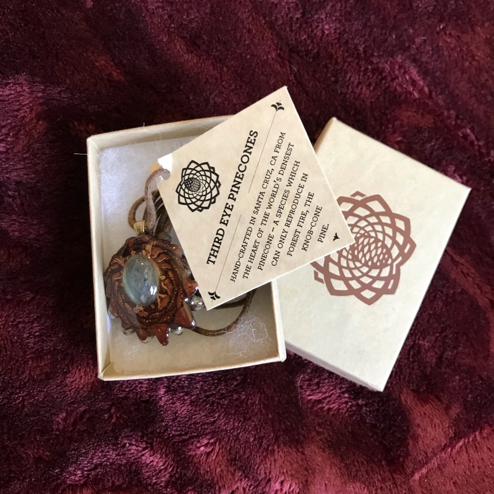BNWT Labradorite Third Eye Pinecone Necklace